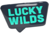 lucky wilds logo